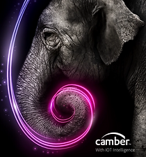 Camber Lenses
